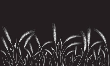 Siyah arka plan üzerine izole beyaz buğday