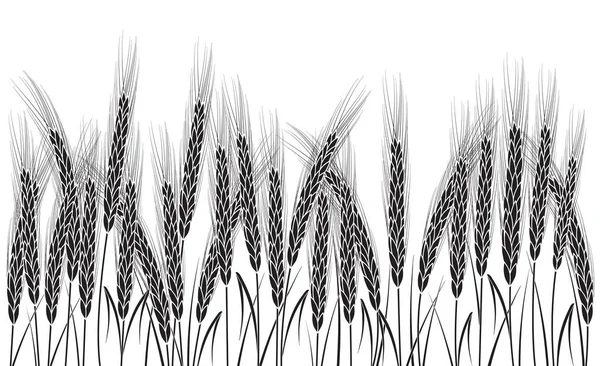 孤立在白色背景上的黑色小麦 — 图库矢量图片