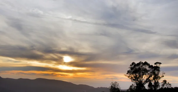 Océano Pacífico Puesta de sol, cresta y silueta de árbol — Foto de Stock