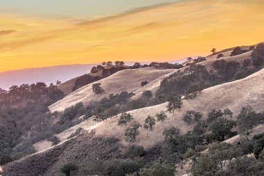 Kaliforniya'nın canlı Sunset Hills haddeleme