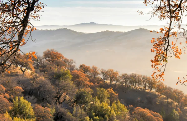 Βόρεια Καλιφόρνια πτώση του Misty βουνά — Φωτογραφία Αρχείου