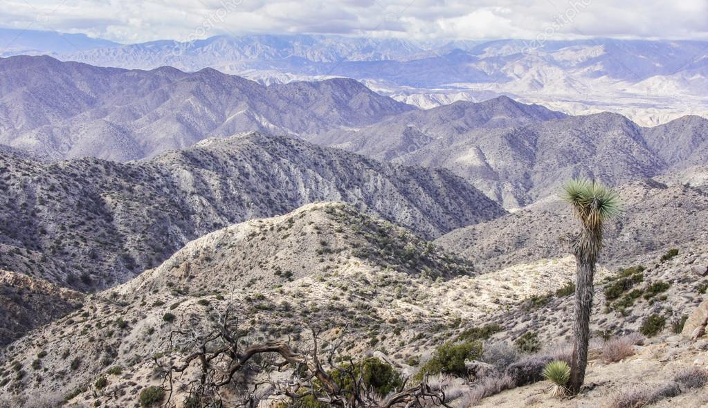 MORONGO VALLEY