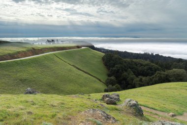 Mount Tamalpais manzara kış