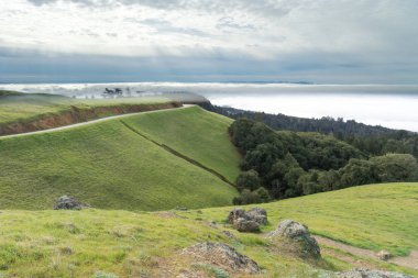 Mount Tamalpais manzara kış