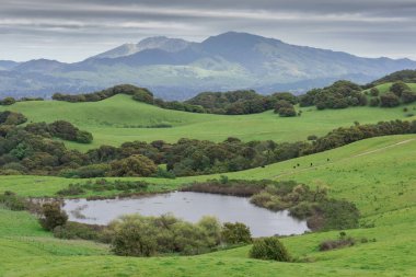 Mount Diablo Briones Bölge Parkı