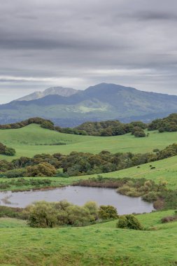 Mount Diablo Briones Bölge Parkı