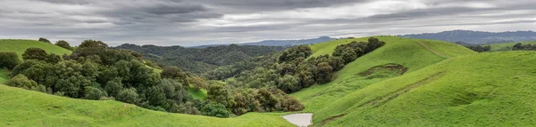Yemyeşil yeşil kış Panorama adlı Briones Bölge Parkı — Stok fotoğraf