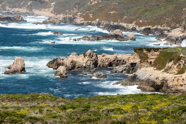 Vistas de la costa del Parque Estatal Garrapata en primavera . — Foto de Stock