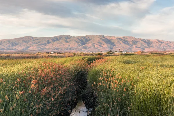 Humedales de Alviso y Cordillera del Diablo . — Foto de Stock