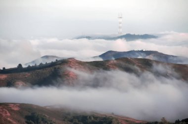 İkiz Tepeler ve Mount Sutro Sutro Kulesi siste.
