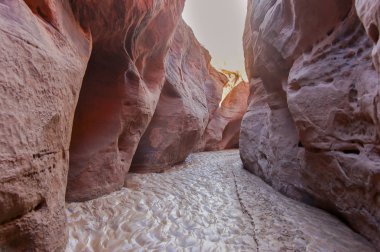 Buckskin Gulch yuvası kanyon içinde.