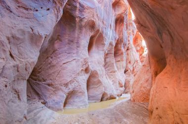 Buckskin Gulch yuvası kanyon içinde.