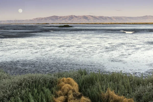 San Francisco Bay mudflats dolunay Diablo aralığı boyunca ile. — Stok fotoğraf