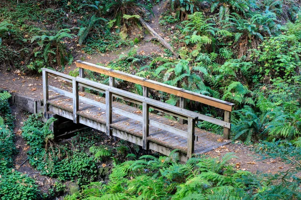 Puente de madera en Craig Britton Trail . — Foto de Stock