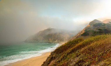 Gri balina Cove devlet kumsalda sürünen sis.