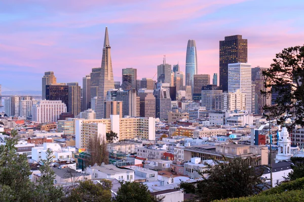 San Francisco Skyline Pink Blue Skies Inglés Ina Coolbrith Park — Foto de Stock