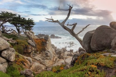 Pebble Beach ve Pacific Grove yakınlarındaki ikonik 17 Mil Yolu 'ndan dramatik kıyı şeridi görüntüsü. Monterey County, California, Usa.