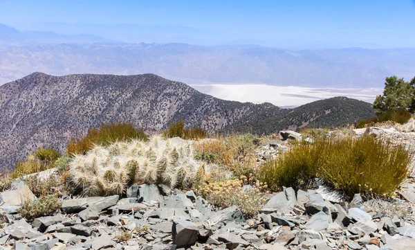 从威洛斯峰看死亡谷和内华达山脉 死谷国家公园 加利福尼亚州 犹他州 — 图库照片
