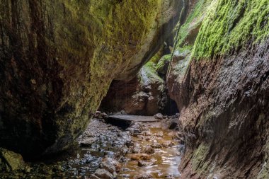 Yağmurlu bir günde Bear Gulch 'un alt mağarası. Zirveler Ulusal Parkı, San Benito İlçesi, Kaliforniya, Usa.