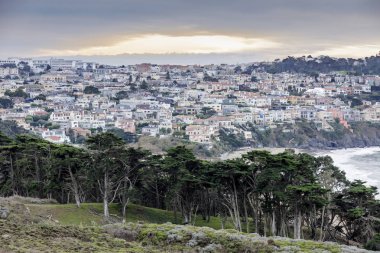 Sea Cliff neighborhood with Baker Beach and Monterey Cypress Trees in winter sunset. Shot from the Presidio, San Francisco, California, USA. clipart