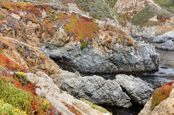 Calas Bolsillo Inaccesibles Soberanes Point Parque Estatal Garrapata Big Sur — Foto de Stock