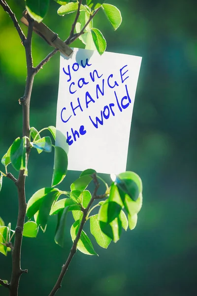 Frase motivadora Você pode mudar o mundo. Em um fundo verde em um ramo é um livro branco com uma frase motivadora . — Fotografia de Stock