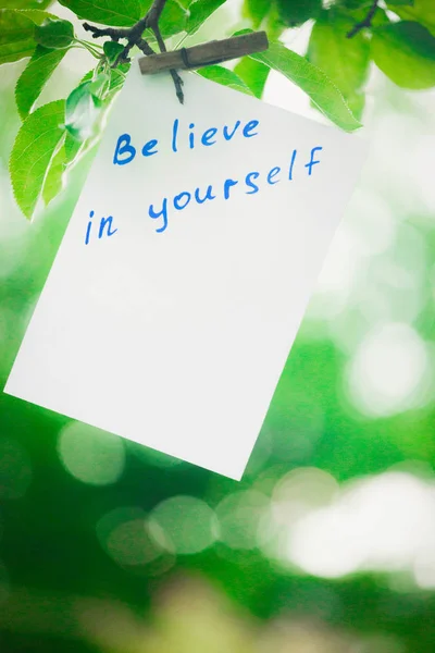 Motivating phrase Believe in yourself. On a green background on a branch is a white paper with a motivating phrase. — Stock Photo, Image
