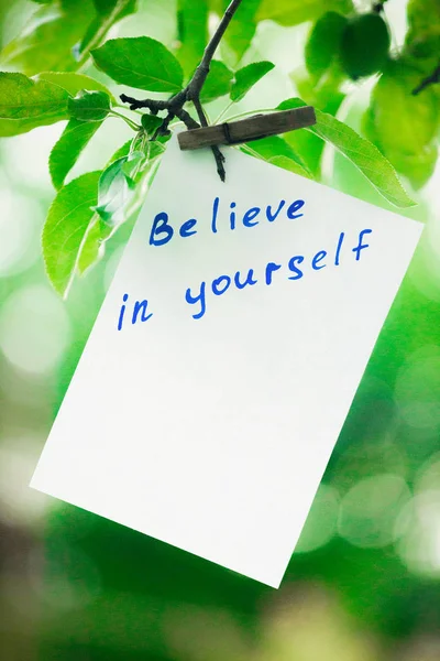 Motivating phrase Believe in yourself. On a green background on a branch is a white paper with a motivating phrase. — Stock Photo, Image