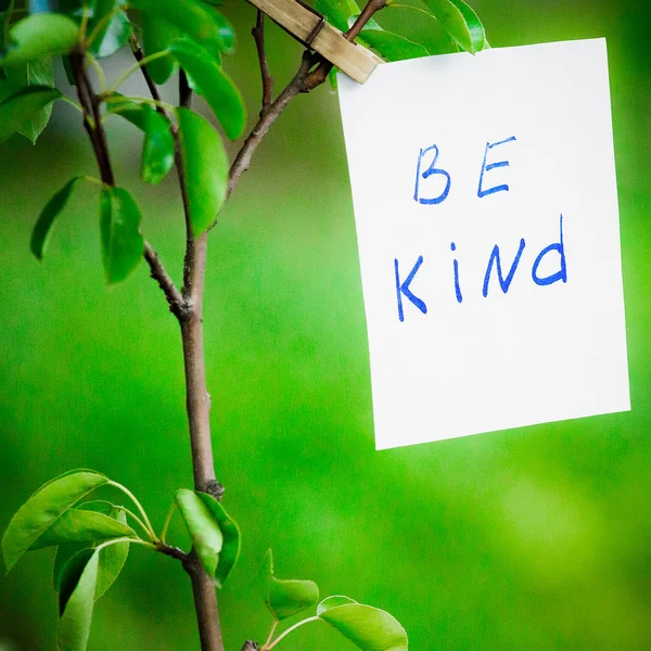 Motivating phrase be kind. On a green background on a branch is a white paper with a motivating phrase.