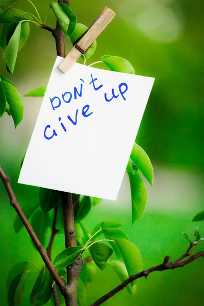 Motivating phrase dont give up. On a green background on a branch is a white paper with a motivating phrase.