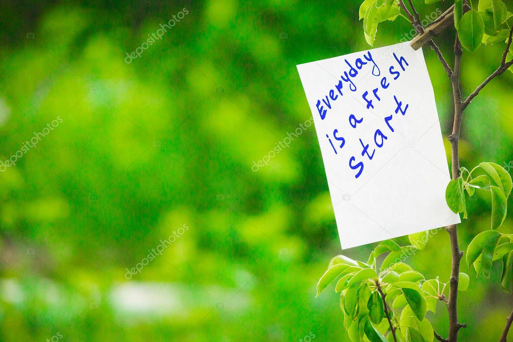 Motivating phrase Everyday a fresh start. On a green background on a branch is a white paper with a motivating phrase.