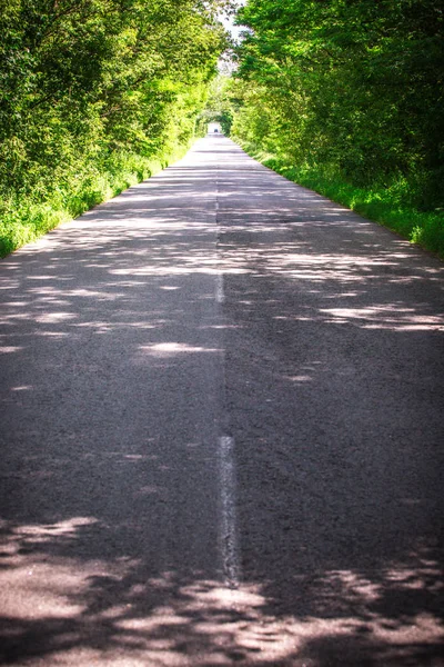 Paisagem de estrada em linha reta sob as árvores.Túnel verde e uma estrada de asfalto vazio — Fotografia de Stock