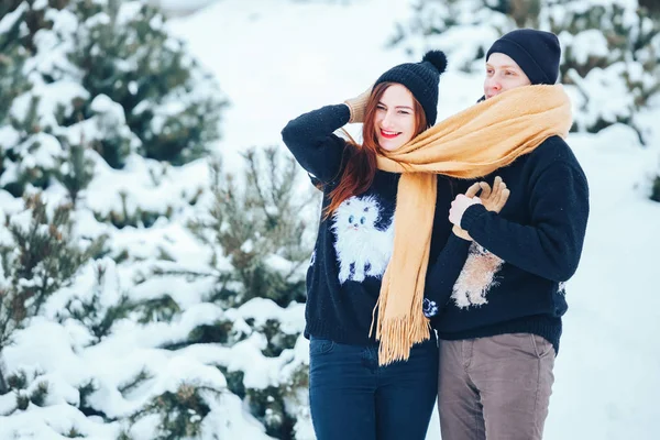 Çift birlikte karlı ormanda yürüyüş gülümseyen