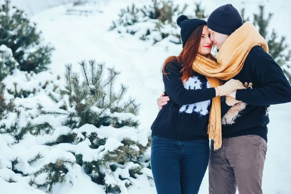 Sorrindo casal andando em bosques nevados juntos — Fotografia de Stock