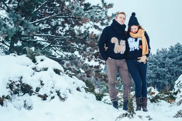 Adam ve kız kış ormanlarında dinleniyorlar. Karda karı-koca. Genç bir çift kış parkında yürüyor..