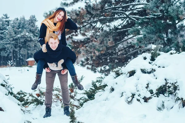 Adam ve kız kış ormanlarında dinleniyorlar. Karda karı-koca. Genç bir çift kış parkında yürüyor..