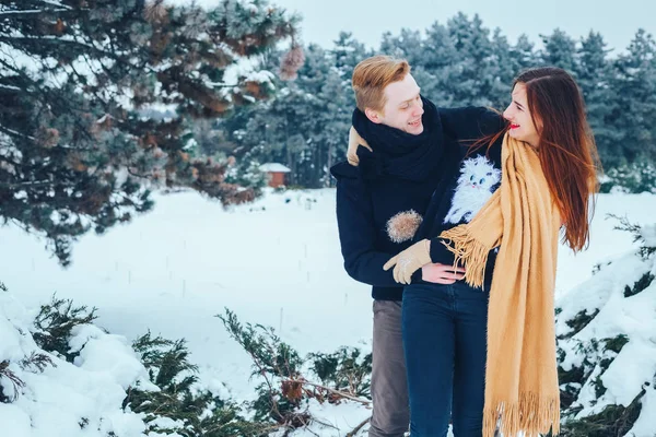 Adam ve kız kış ormanlarında dinleniyorlar. Karda karı-koca. Genç bir çift kış parkında yürüyor..