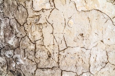 Endüstriyel binada çatlağı olan Grunge beton duvar. Tasarım ve doku arka planınız için harika.