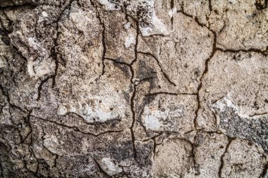 Endüstriyel binada çatlağı olan Grunge beton duvar. Tasarım ve doku arka planınız için harika.