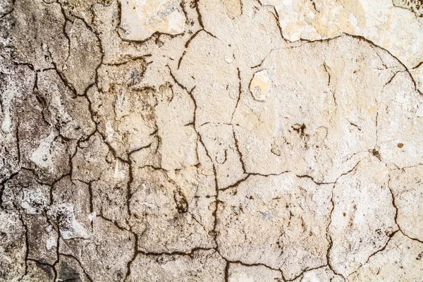 Pared de cemento de hormigón grunge con grieta en edificio industrial, ideal para su diseño y textura de fondo — Foto de Stock