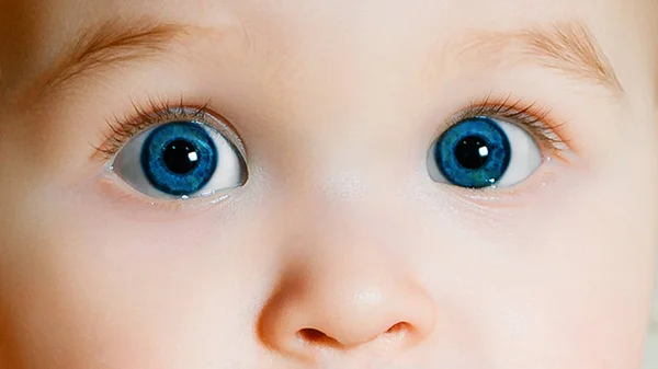 Olhos azuis da criança.Nariz e dois olhos da criança - cara de perto — Fotografia de Stock