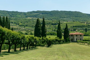 Yazın güneşli havalarda yeşil çayırlar, selvi ve üzüm bağları arasında şık bir İtalyan villası..