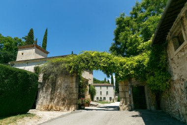 Yazın güneşli havalarda yeşil çayırlar, selvi ve üzüm bağları arasında şık bir İtalyan villası..