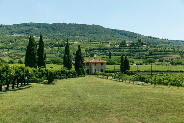 шикарная старая итальянская вилла среди зеленых лугов, кипарисов и виноградников летом в солнечную погоду
.