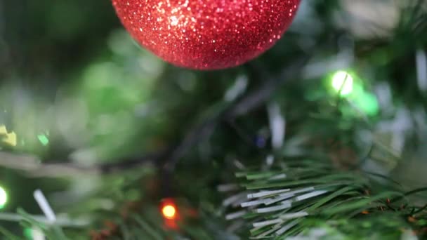 Navidad y Año Nuevo Decoración. Red Shiny Bauble en el árbol de Navidad. Fondo de luces de hadas. La cámara se mueve desde abajo hacia arriba . — Vídeo de stock