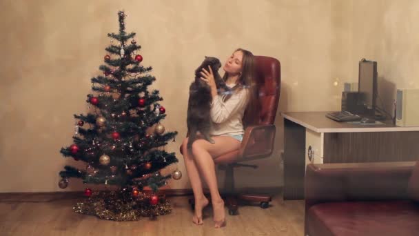 Κορίτσι χαϊδεύει και χαϊδεύοντας της βρετανικής γάτα ενώ κάθεται στο Her πολυθρόνα κοντά το χριστουγεννιάτικο δέντρο στο σπίτι. — Αρχείο Βίντεο