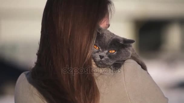 Kot brytyjski przytulanie odkryty kobieta na tle zima. — Wideo stockowe
