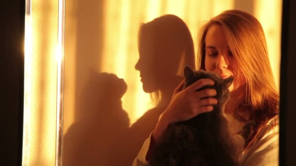 Γυναίκα αγκαλιάζει μια γάτα το κίτρινο φως του ήλιου. Φόντο τις σκιές τους. — Αρχείο Βίντεο
