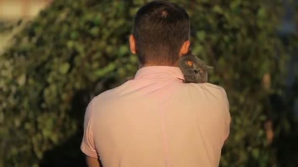 Chat étreignant un homme en plein air sur fond d'été . — Video