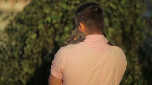 Kot, przytulanie człowieka odkryty na lato na tle. — Wideo stockowe